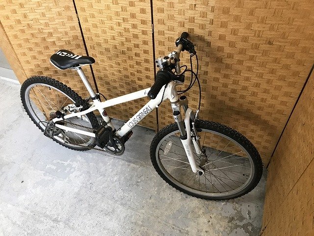 TNE52285大 ルイガノ 子供用 自転車 24インチ 発送不可 神奈川県相模原
