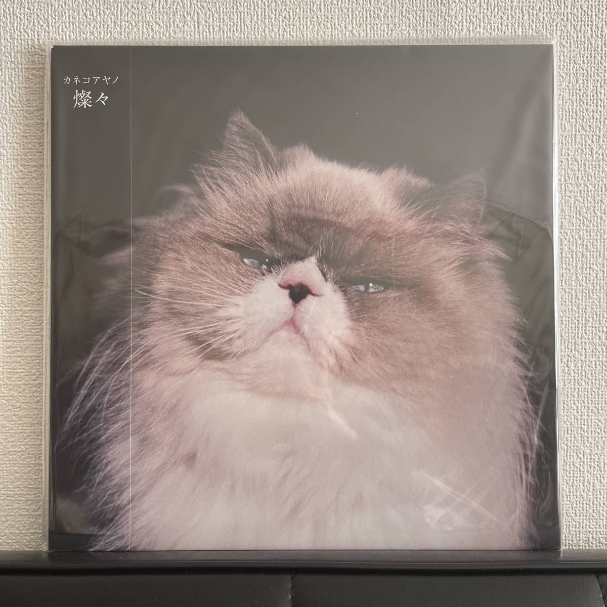 【正規品，新品】 カネコアヤノ / 燦々 レコード LP アナログ(インディーズ)｜売買されたオークション情報、yahooの商品情報をアーカイブ公開 - オークファン インディーズ