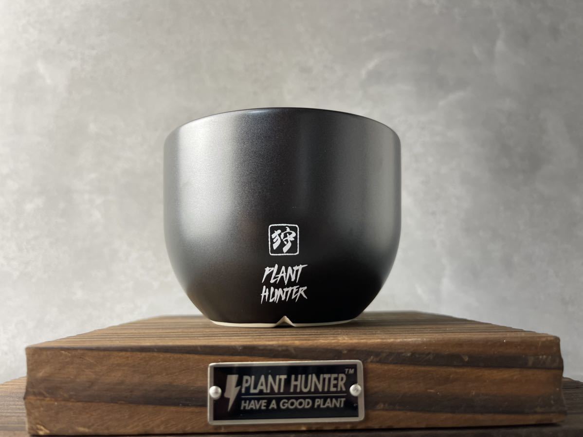 ⑦少量入荷！数量限定 PLANT HUNTER 植物ハンター オリジナル 陶器鉢