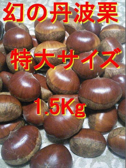 1kg 品評会受賞〉丹波栗 低温追熟安心安全 レシピ付き 甘くなった筑波 
