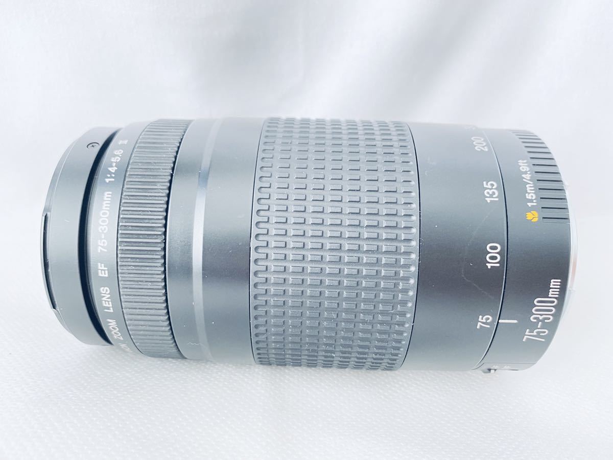 ☆良品☆ キヤノン CANON EF 75-300mm F4-5.6 II#1387 D #0008 #0006
