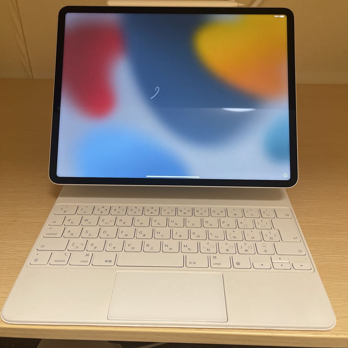 12.9インチiPod Pro Wi-Fi 128GB - シルバー 12.9インチiPod Pro (第5