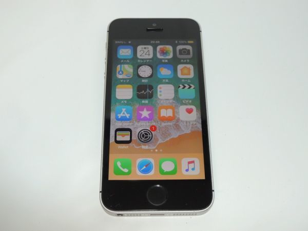 Apple SoftBank iPhone SE 第1世代 16GB スペースグレイ MLLN2J/A 動作