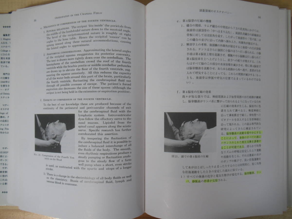 U19○入手困難 OSTEOPATHY IN THE CRANIAL FIELD 頭蓋領域の