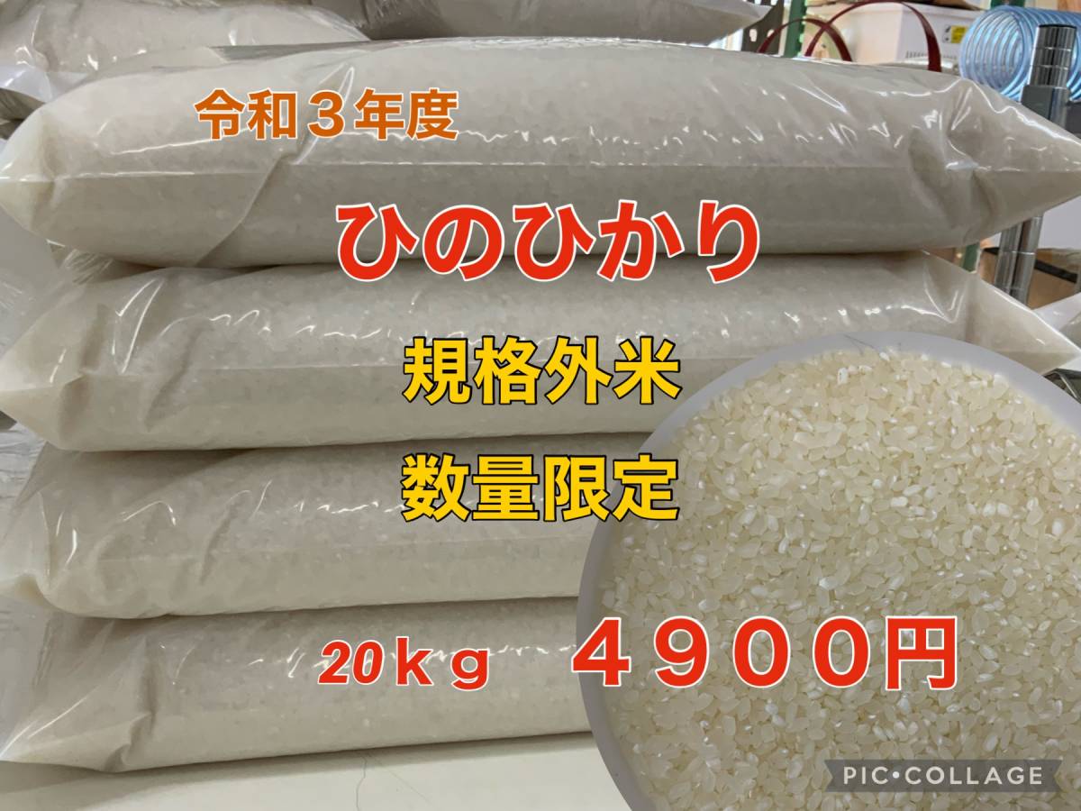 令和3年度 ひのひかり 中米 規格外米 白米20キロ(その他)
