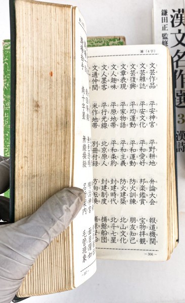 30冊 集字墨場必携 二玄社/書聖名品選集/故事成語/漢文 中国 書道 金石