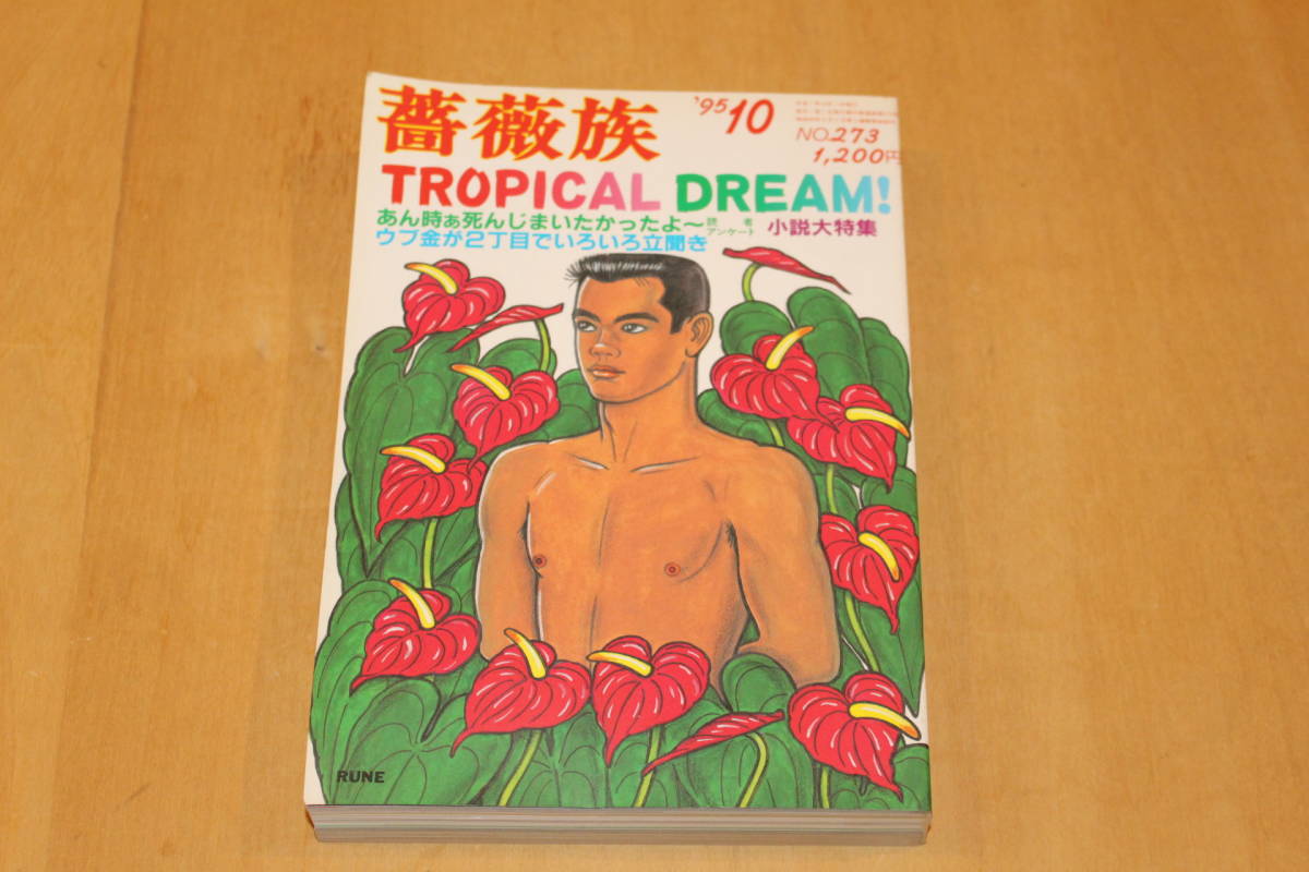 薔薇族 1995年10月号 NO.273 裏表紙/内藤ルネ（検索）同性愛 LGBT 風俗