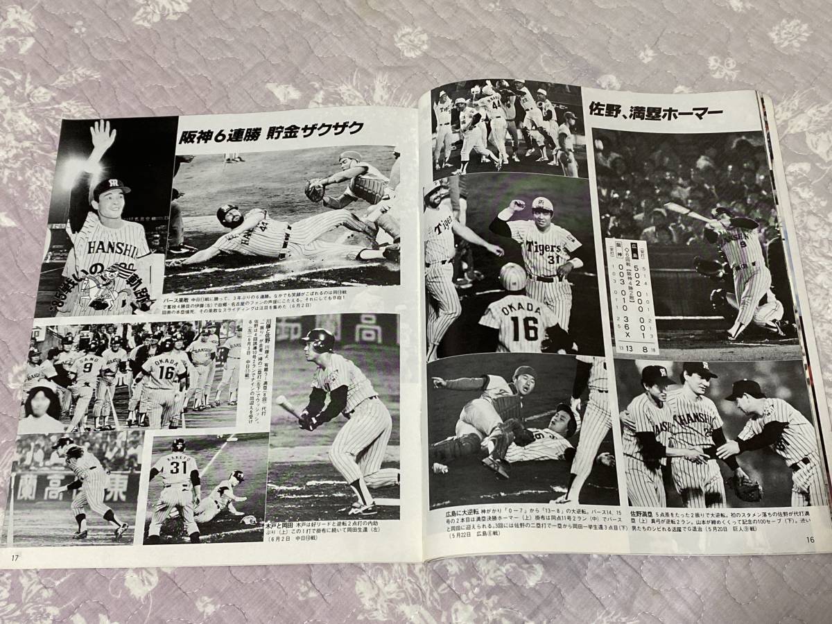 日刊スポーツ激写グラフ 1985年阪神タイガースセ リーグ優勝記念号／掛