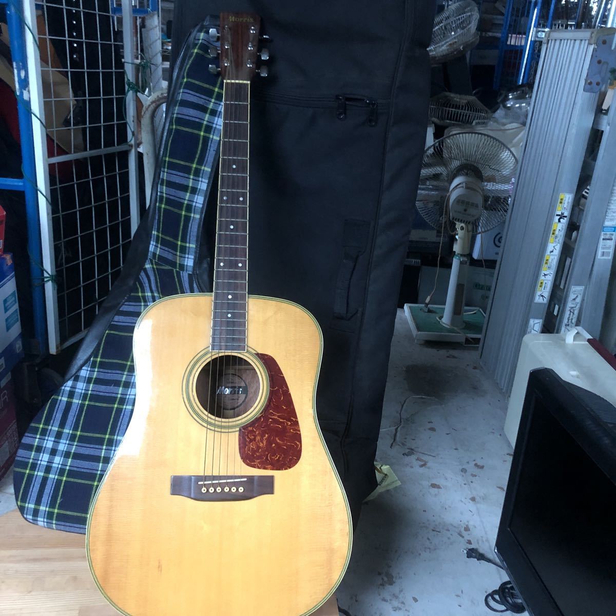 Morris アコースティックギター MD-506
