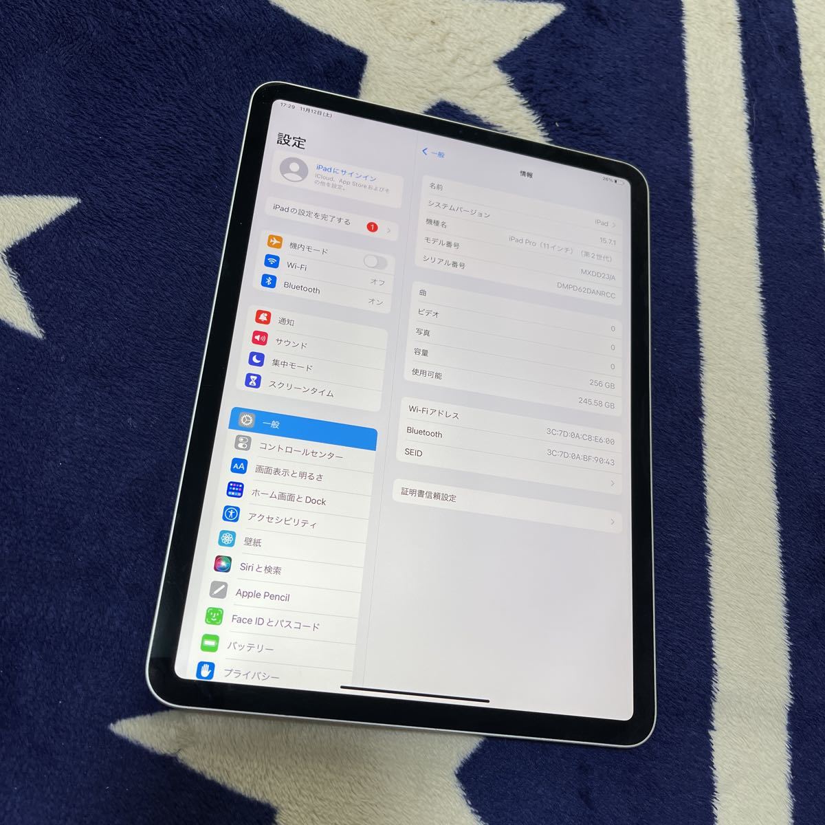 iPad Pro 256GB Wi-Fiモデル 11インチ Wi－Fi Apple 11インチ第2世代 (