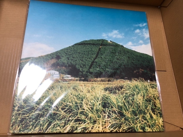 奥田民生 / 股旅 LP 奥田民生 【公式通販】