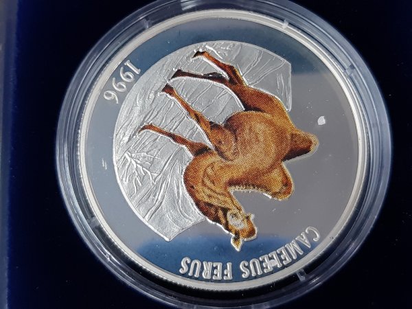 INFO36 1996年 モンゴル 500トゥグルグ 銀貨 らくだ カラーコイン 3点