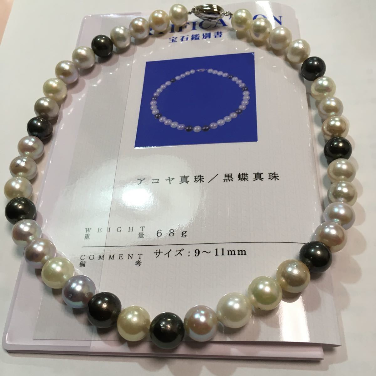 ネックレス タヒチ黒蝶真珠 ｜ SV925 ネックレスセット あこや真珠 7.0 
