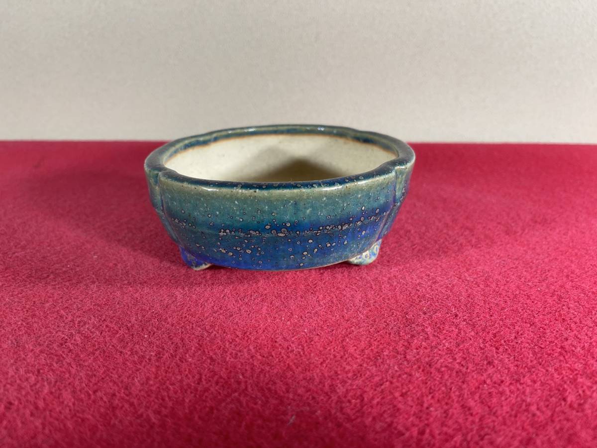 盆栽鉢　鴻陽 現代小鉢：鴻陽 楕円鉢 24.8cm【現】 | すべての商品 | 遊恵盆栽 本店