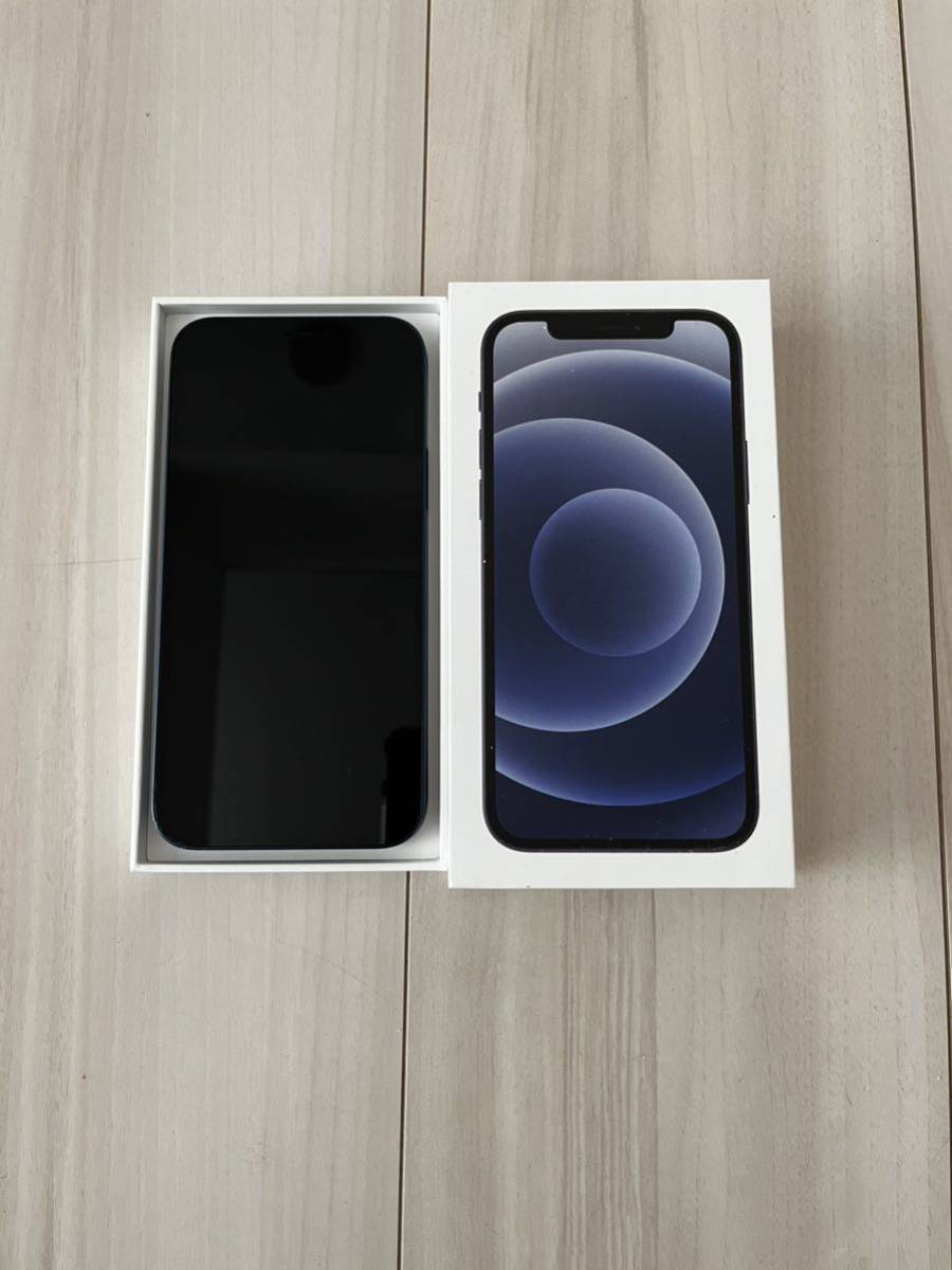 Apple iPhone 12 MGHX3J/A 本体 128GB ブルー 判定〇 SIMフリー APPLE