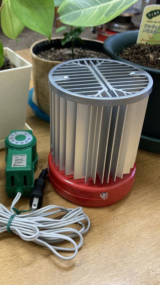 Yahoo!オークション - ガラス温室 ガラス温室 長谷川工業 GF-158 塊根