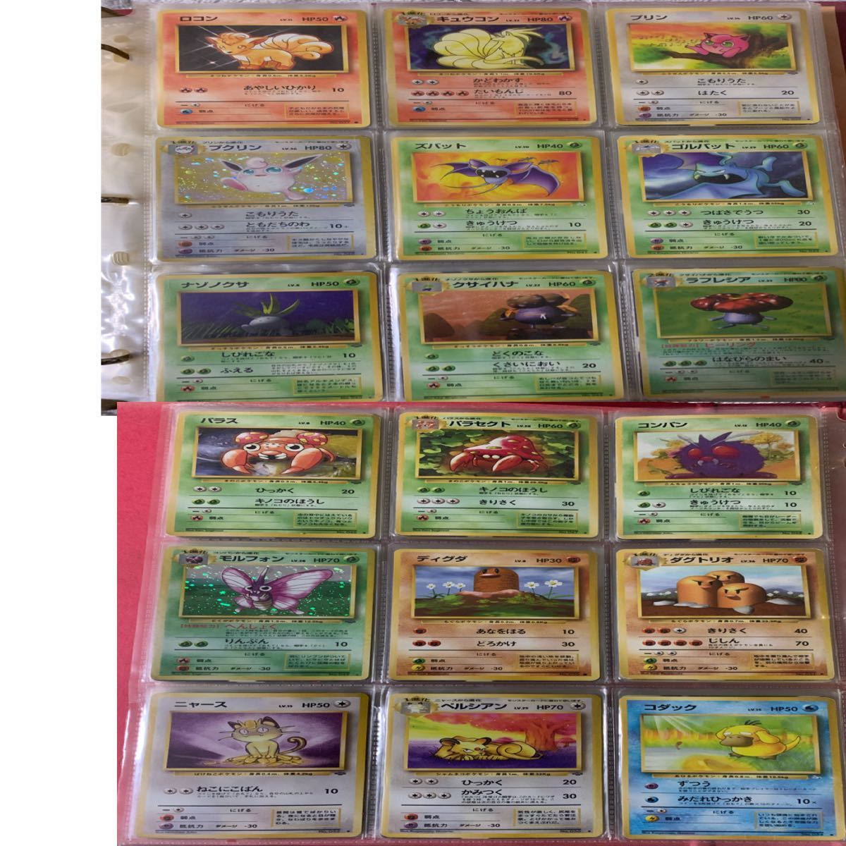 ポケモンカード旧裏面 ポケモン図鑑+キラカード ファイル一式 キラ