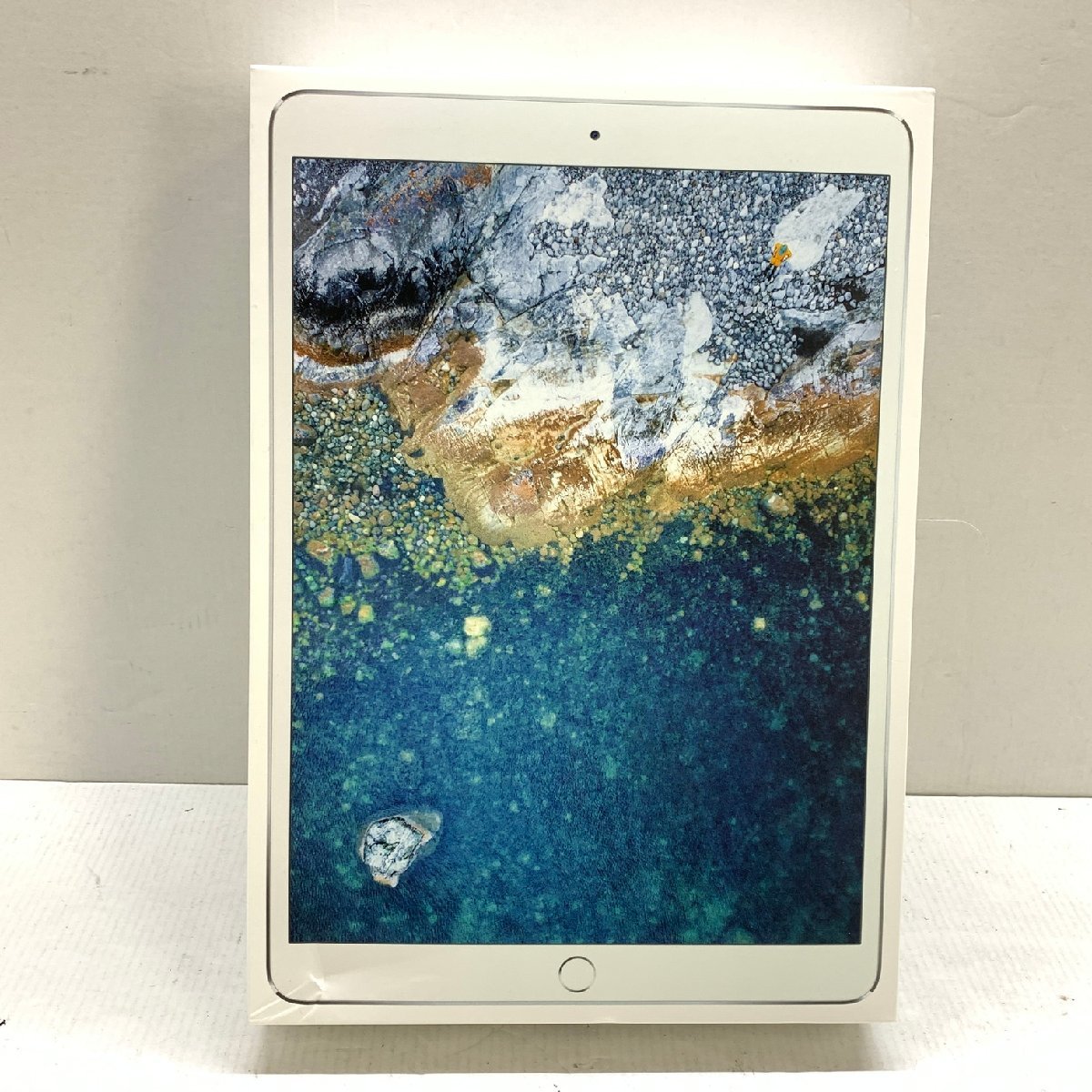 タブレット 【ジャンク2台】iPad Pro 10.5インチ、iPad 第6世代+おまけ