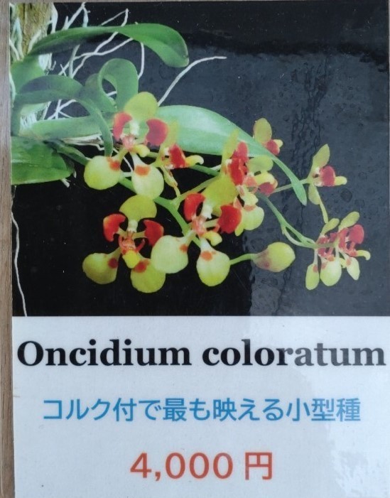 0_m