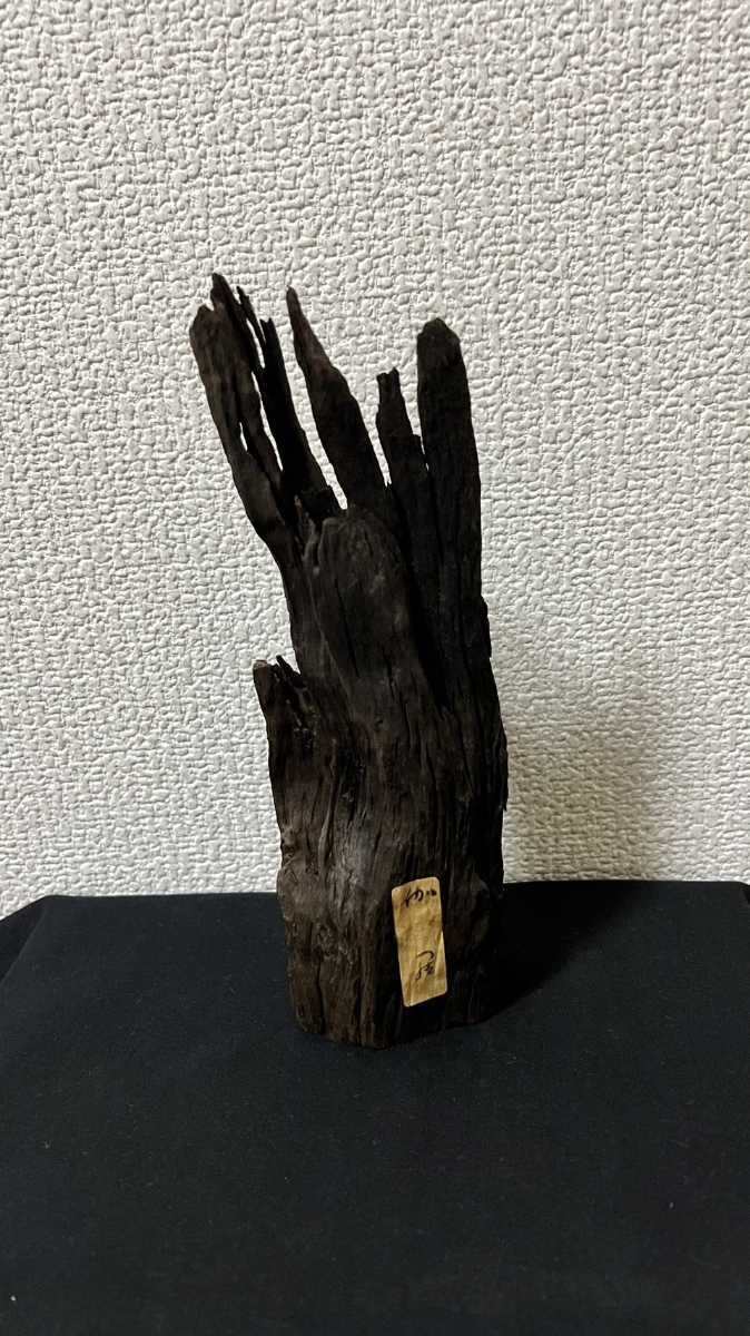 ベトナム産 | 伽羅の全貌 沈香との違い茶の穂 香木と本気