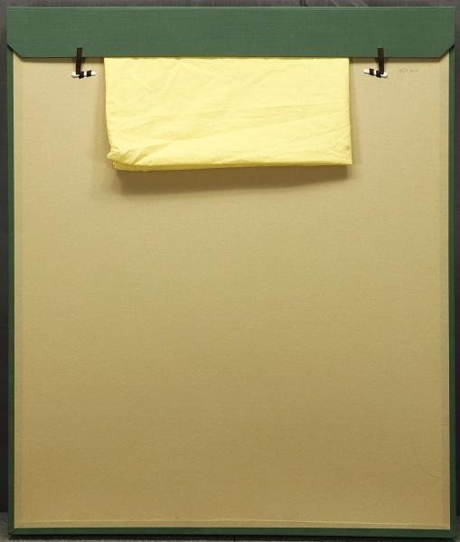 杉山寧 「鯉(瀅)」 リトグラフ 落款・エディション・作品証明シール