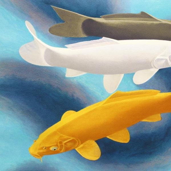 杉山寧 「鯉(瀅)」 リトグラフ 落款・エディション・作品証明シール