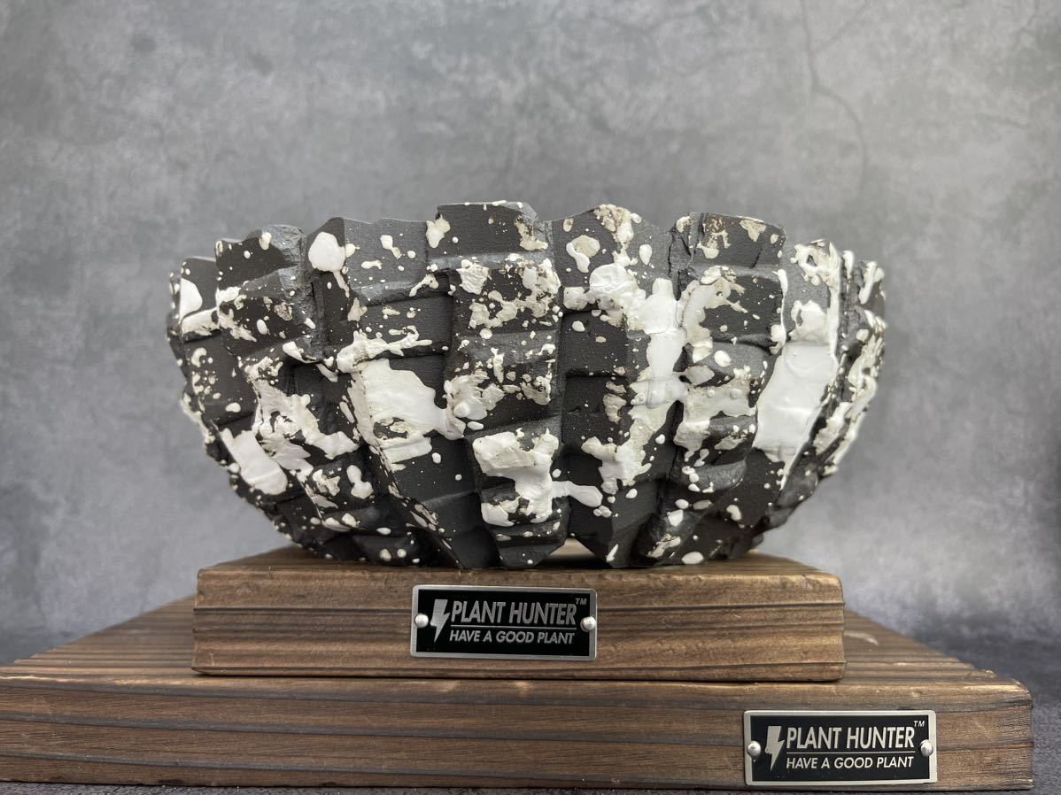 C 351 LLサイズ　陶器 手作リ　植木鉢　検索（グラキリス　NEIGHBORHOOD SRL RLF カタチ製作所 亀甲龍 パキプスアガベ raw life factory)