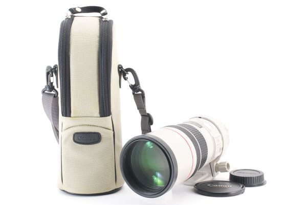 CANON EF 300mm F4 L IS USM ケース #6