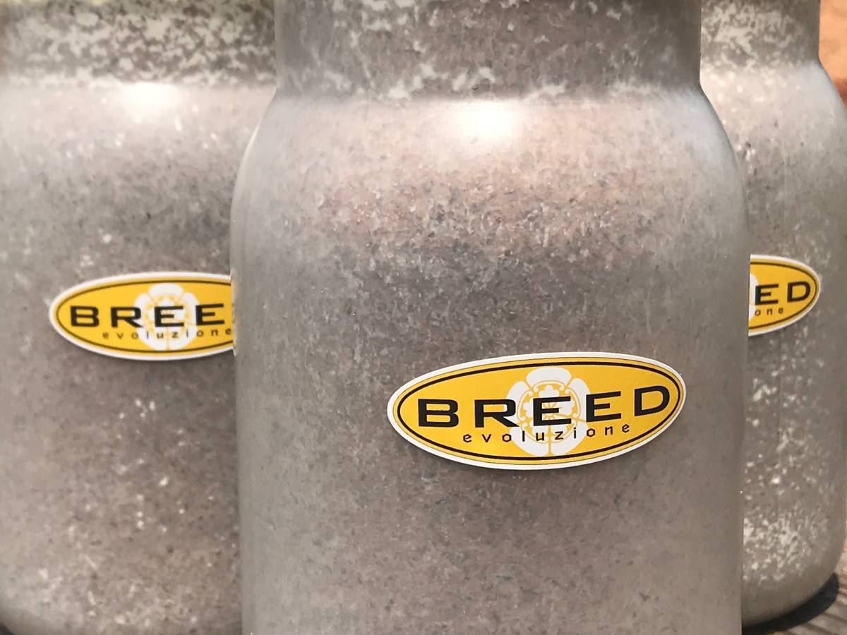 BREED菌糸ビン 高品質・高性能 1100ml 10本セット（菌糸瓶） 1100cc