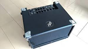 PHIL JONES BASS（PJB）CUB BG-100 / フィルジョーンズベース ベースコンボアンプ