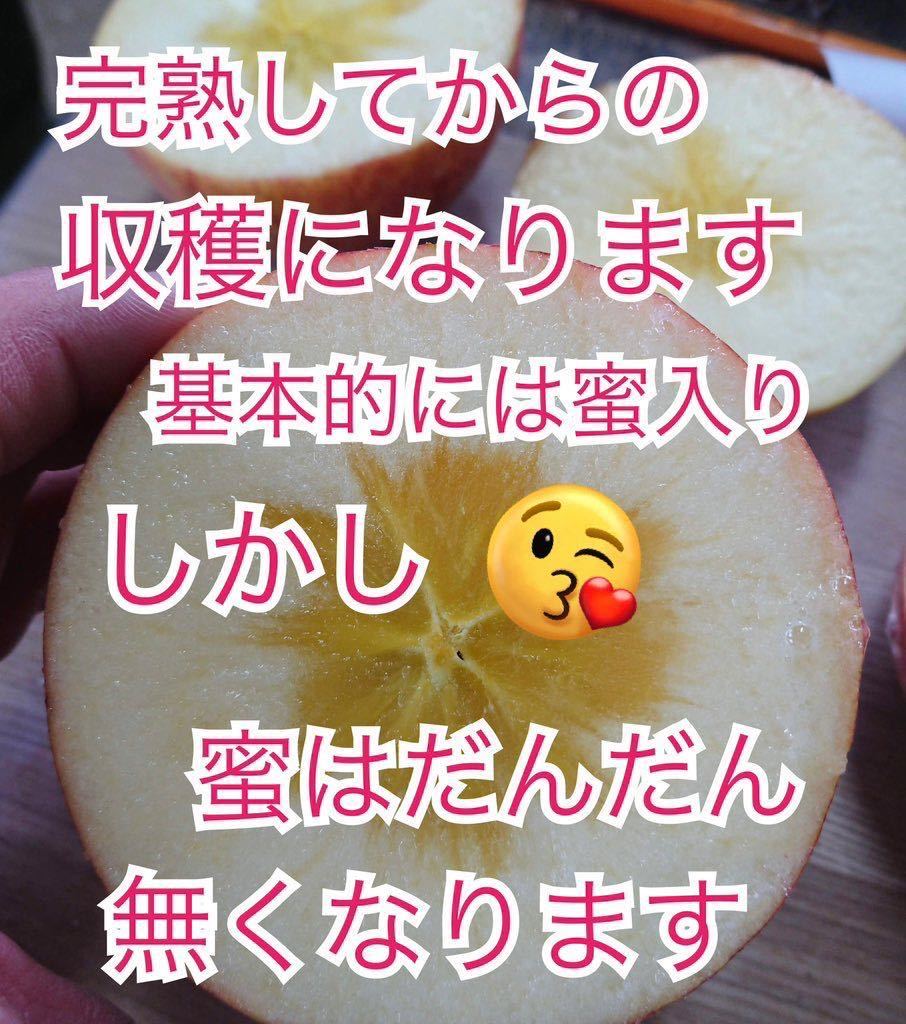 珍しい会津の縦しわリンゴ家庭用約38個入 りんご 【公式通販】