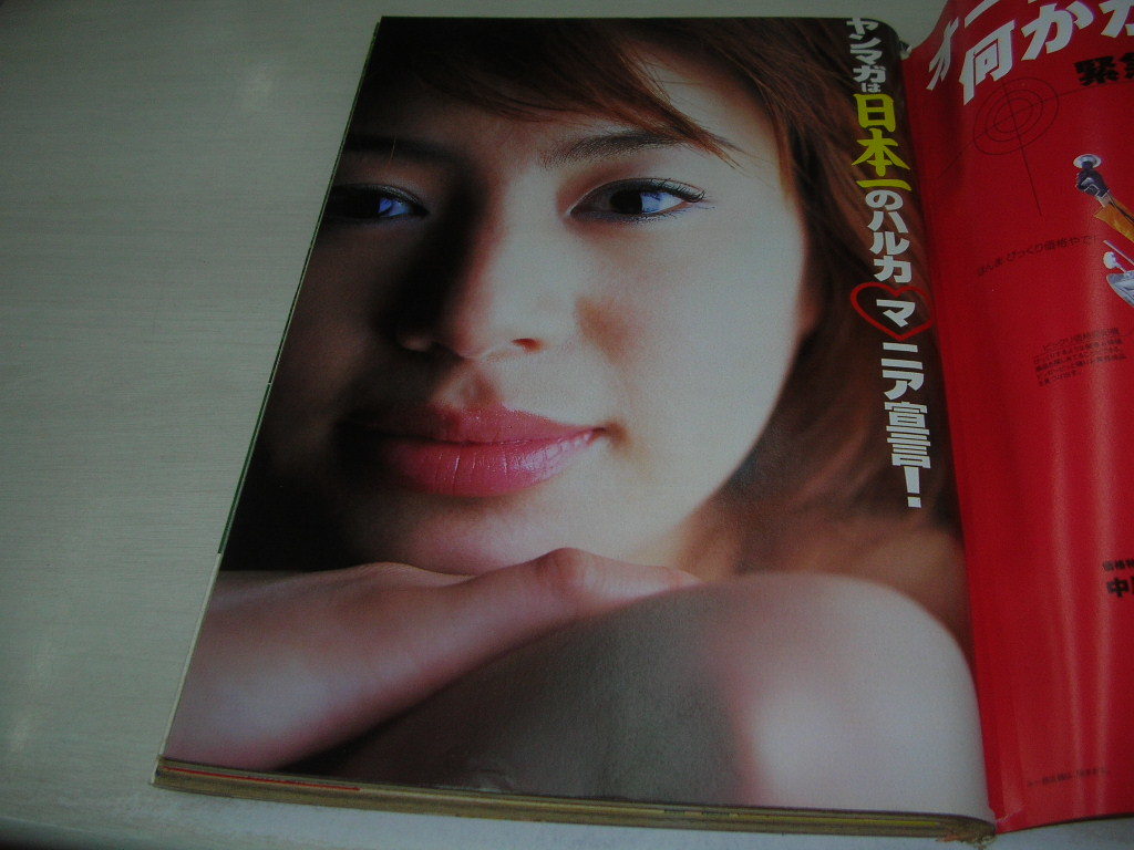 ヤングマガジン NO.30 2002年07月08日号 井川遥 表紙+巻頭＆巻末