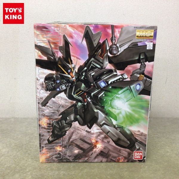 1円〜 MG 1/100 機動戦士ガンダムSEED C.E.73-STARGAZER ストライクノワールガンダム