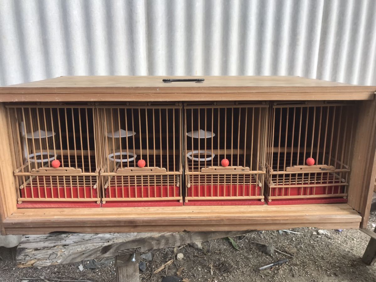 ◇アンティーク 鳥かご 竹製 鳥籠 めじろ箱 メジロ 鳥籠4点 専用木製