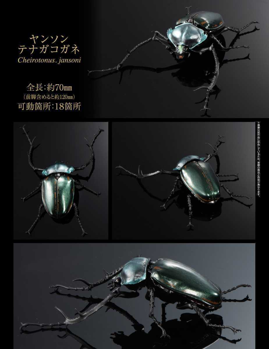 中古通販のオフモール 新品未開封 いきもの大図鑑 かぶとむし04 生き物