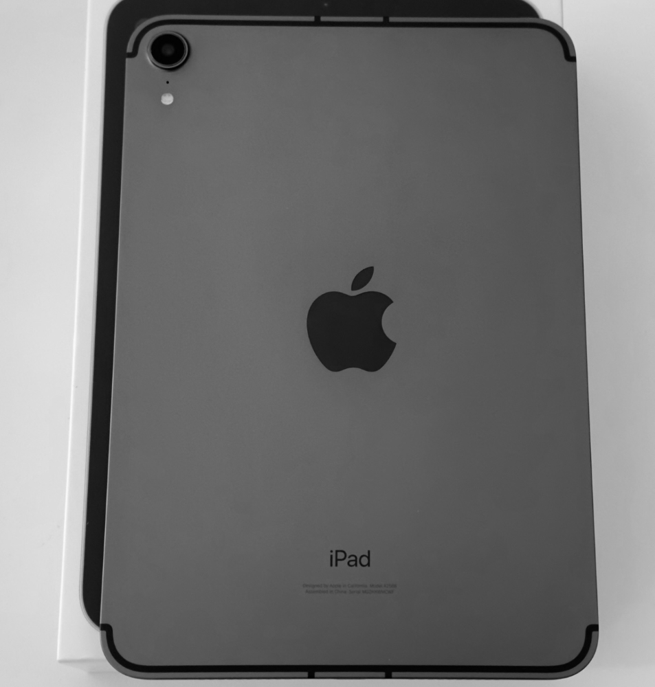 iPad mini 6 256GB Wi-Fi Cellular スペースグレイ Apple Store 購入