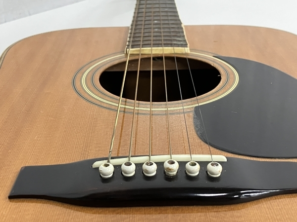 Morris W-50H アコースティックギター ケース付き 楽器 訳ありS7241699