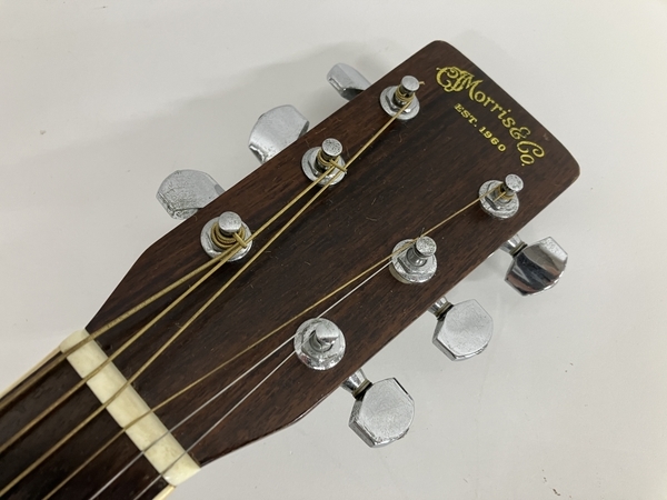 Morris W-50 単板トップ アコースティックギター 専用ハードケース付