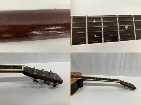 Morris W-50 単板トップ アコースティックギター 専用ハードケース付