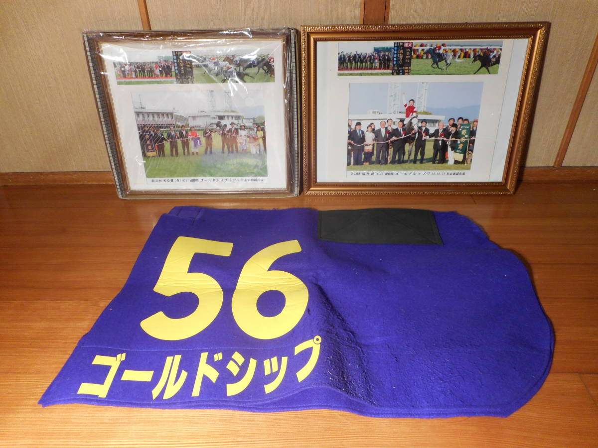 競馬 ゴールドシップ 実使用調教ゼッケン（毛1000本以上付着・長い 
