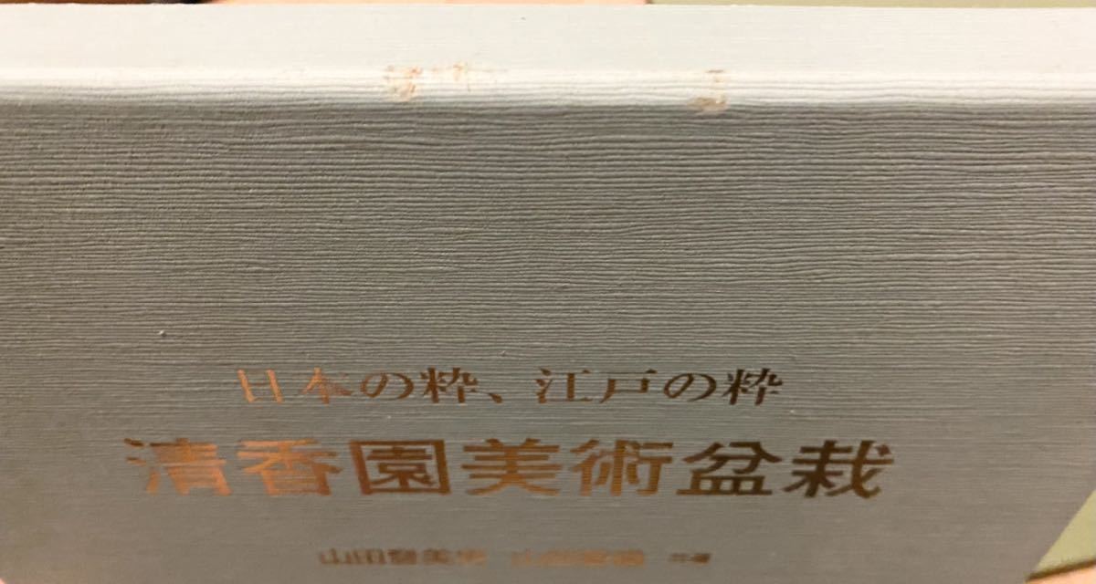 清香園美術盆栽 : 日本の粋、江戸の粋　本　定価10,476円 清香園美術盆栽 : 日本の粋、江戸の粋 本 定価10,476円a(盆栽)｜売買