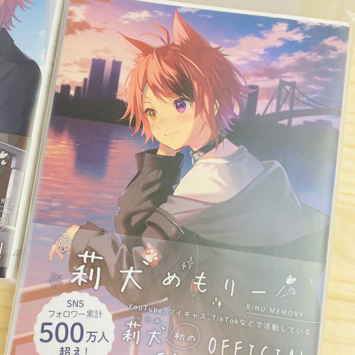 3M28093-10 すとぷり 本2冊セット『莉犬めもりー』 ＆ 『さとみめも