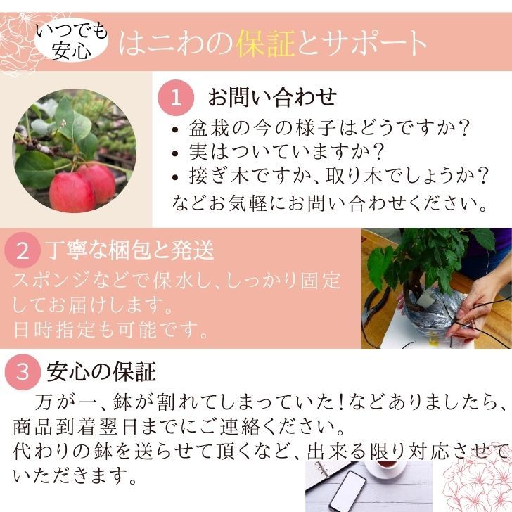 盆栽鉢 平安佑泉 佑泉作 小鉢 長辺 約6.5cm 丸鉢