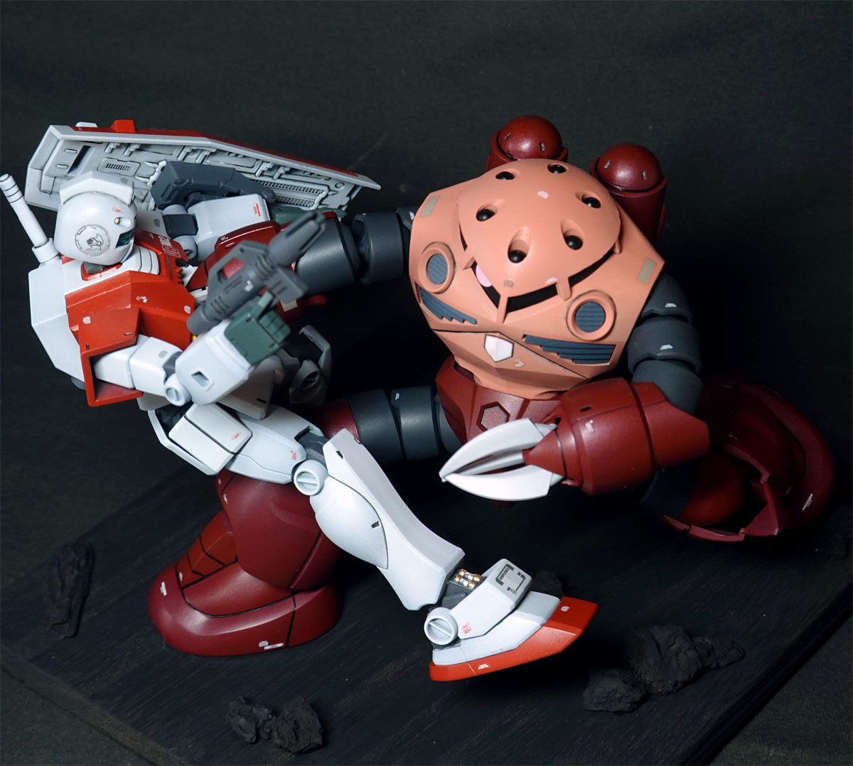 ジム シャア専用ズゴック ジャブローに散るジオラマ 1/144 HG 塗装済