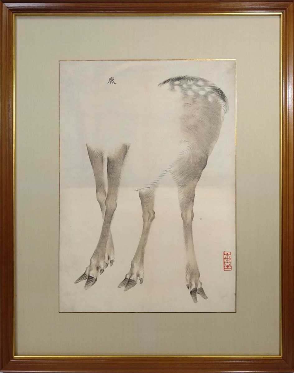 2『真作 彩色粉本/日本画家巨匠 川合玉堂【写実 鹿】肉筆 印譜サイン