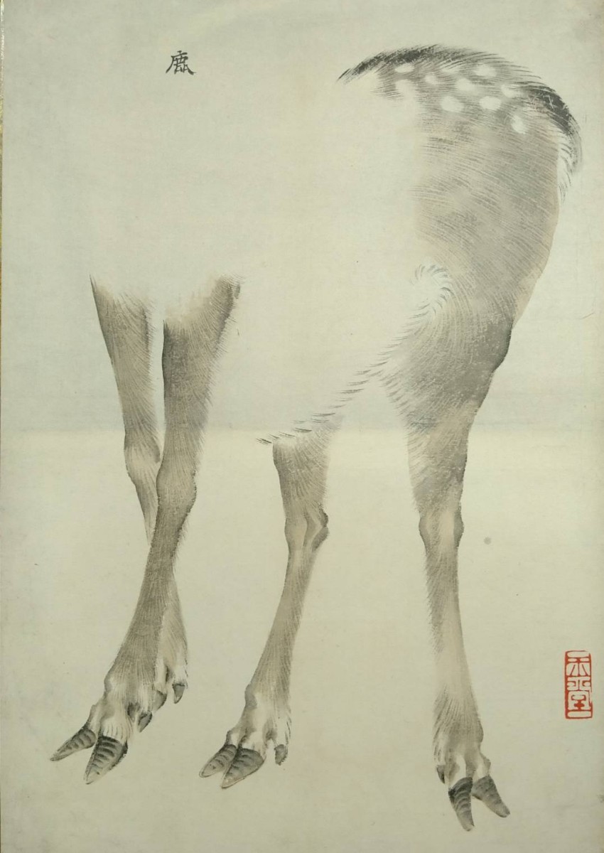 2『真作 彩色粉本/日本画家巨匠 川合玉堂【写実 鹿】肉筆 印譜サイン