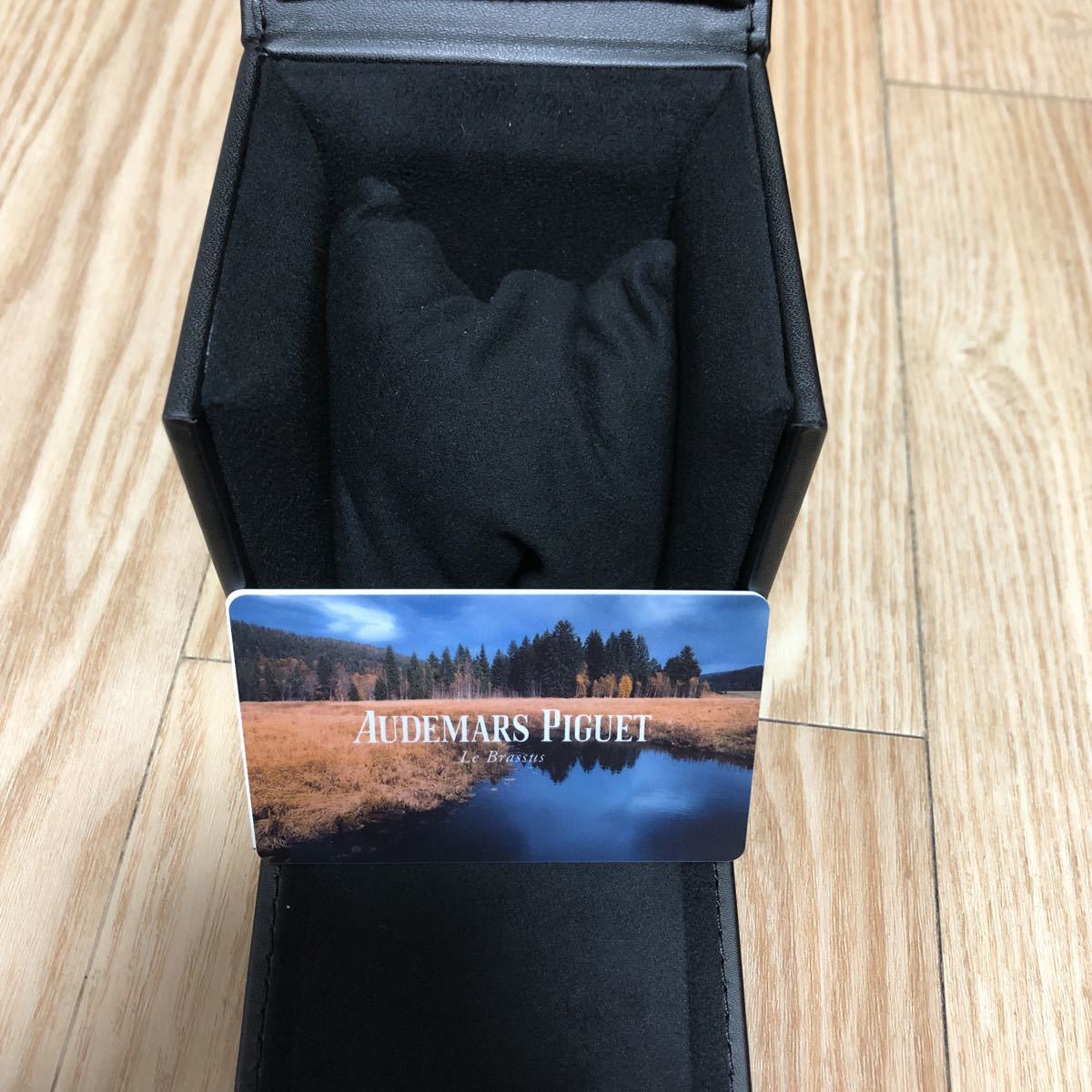 オーデマピゲ ap AUDEMARS PIGUET ウォッチケース トラベルケース 時計