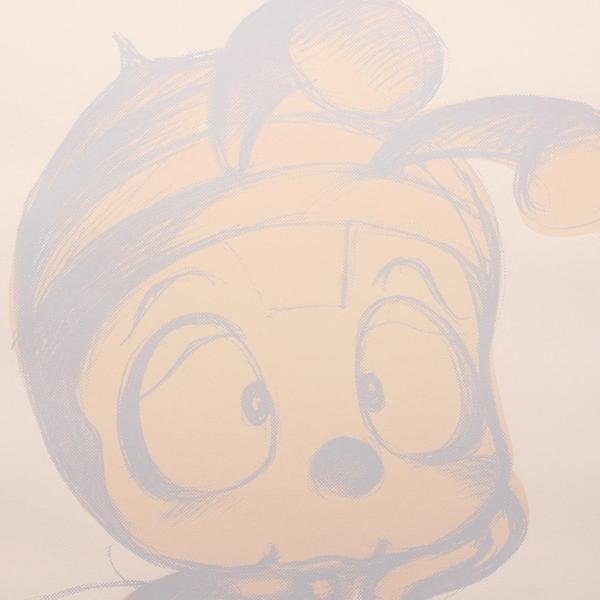 真作】【WISH】天野喜孝「メルヘンⅢ」シルクスクリーン 約25号 大作 