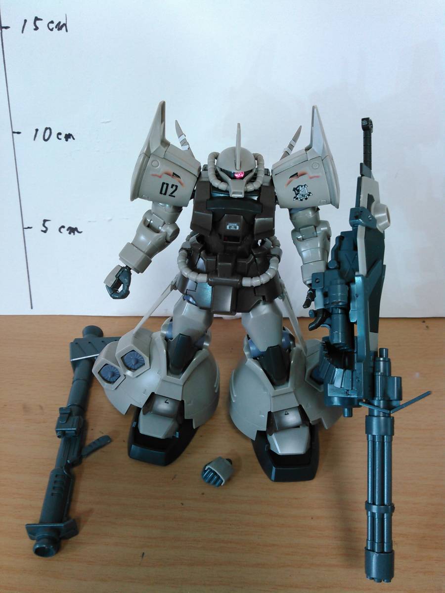 HGUC 1/144 プレバン 限定 グフ・フライトタイプ グフカスタム 素組 