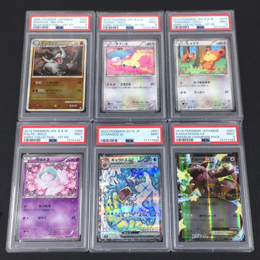 美品 PSA鑑定品 ポケモンカード PSA9 ギャラドスex / ガルーラEX / ラルトス / ドンファン / タブンネ / ヒメグマ